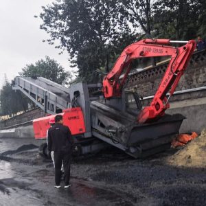 Best Price Coal Unloader For Railway